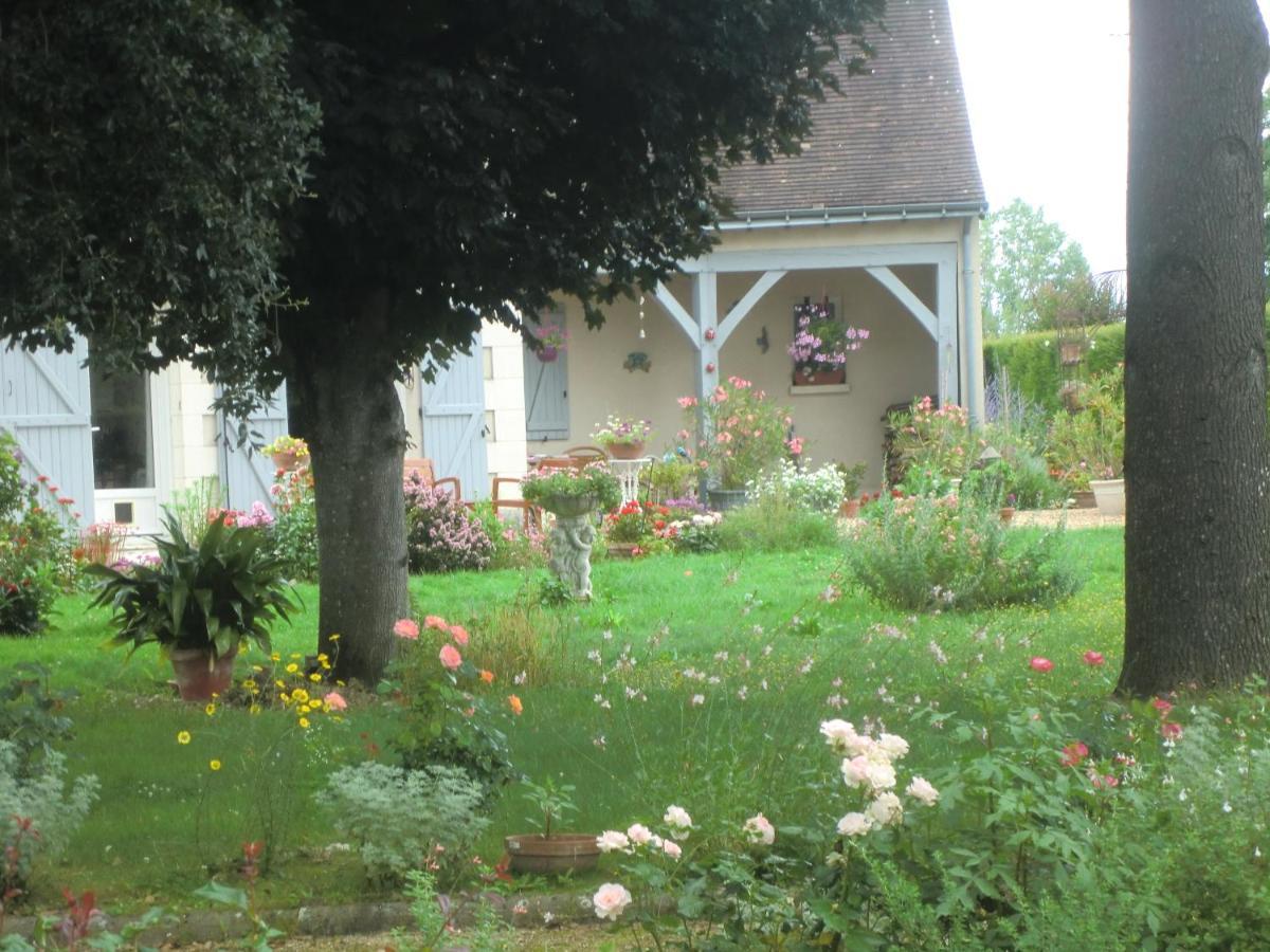 Chambre D'Hotes La Belle Saison Villedomer Exteriör bild
